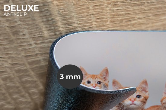 Placemat - Placemats kunststof - Kat - Kittens - Vacht - 45x30 cm - 6 stuks - Hittebestendig - Anti-Slip - Onderlegger - Afneembaar