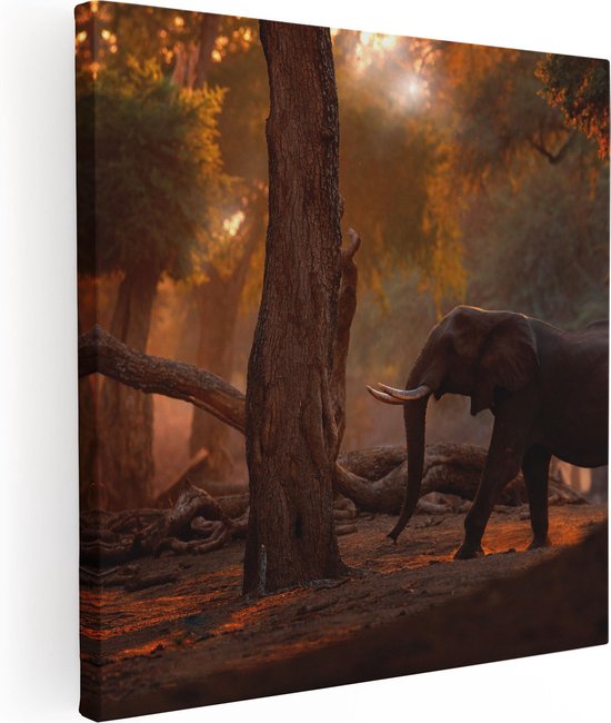 Artaza Canvas Schilderij Olifant In het Bos - 90x90 - Groot - Foto Op Canvas - Canvas Print