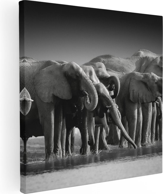 Artaza Canvas Schilderij Groep Olifanten Bij Het Water - Zwart Wit - 30x30 - Klein - Foto Op Canvas - Canvas Print