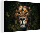 Peintures sur toile Jungle - Lion - Animaux - Feuilles - 120x80 cm - Décoration murale