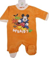 Mickey Mouse - boxpak - Oranje - 6 Maanden - 67cm