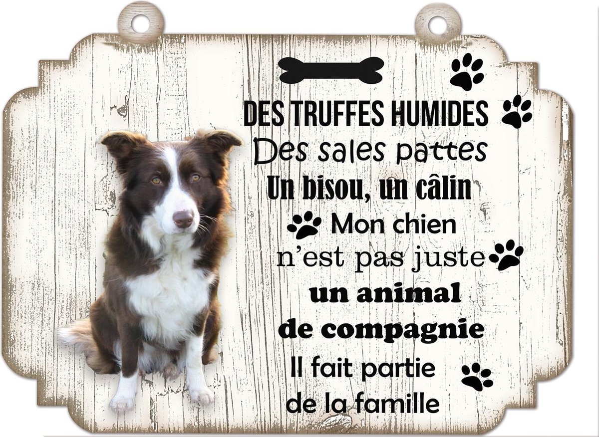 Tableau Déco - Border Collie