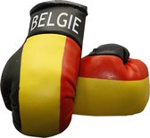Mini gants de boxe Belgique