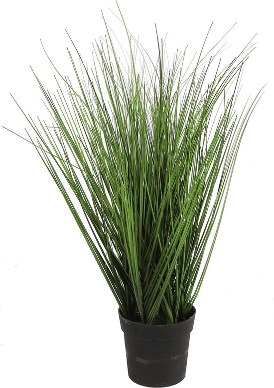 Non-branded Kunstplant Poaceae 50 Cm Polyresin Groen