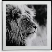 Schilderij Leeuw Kristal (2 x 50 x 50 cm)