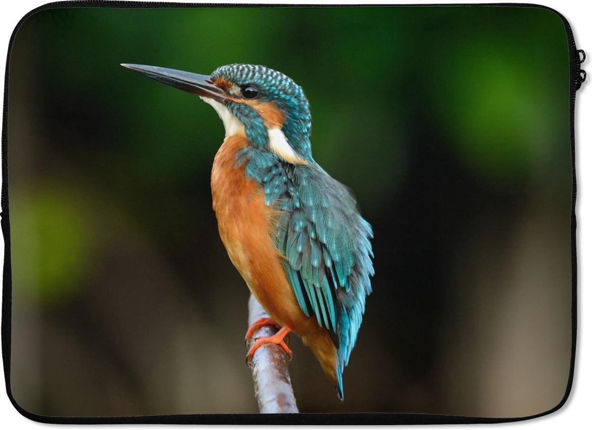 Laptophoes 13 inch - Takken - IJsvogel - Park - Laptop sleeve - Binnenmaat 32x22,5 cm - Zwarte achterkant