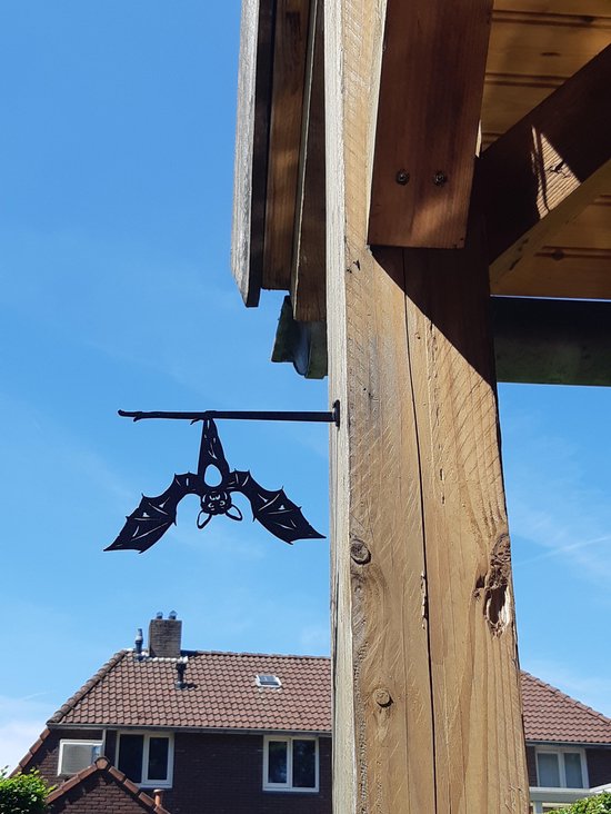 Guru-Shop Wandhouder van ijzer, wandhouder voor