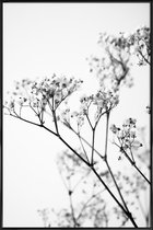 JUNIQE - Poster in kunststof lijst Deni's Baby Breath -30x45 /Grijs &