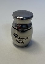 Urn mini rvs  hond kat mini 2.5 cm