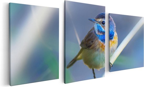 Artaza Canvas Schilderij Drieluik Kleurrijke Blauwborst Vogel Op Een Tak - 120x60 - Foto Op Canvas - Canvas Print