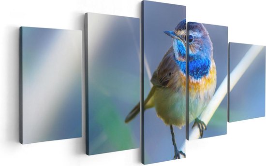 Artaza Canvas Schilderij Vijfluik Kleurrijke Blauwborst Vogel Op Een Tak - 100x50 - Foto Op Canvas - Canvas Print