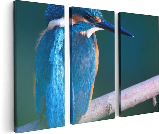 Artaza Peinture sur toile Triptyque Martin-pêcheur bleu sur une branche - 120x80 - Photo sur toile - Impression sur toile