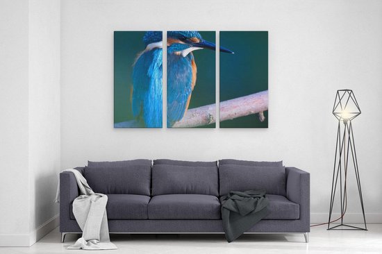Artaza Peinture sur toile Triptyque Martin-pêcheur bleu sur une branche - 120x80 - Photo sur toile - Impression sur toile