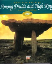 Among Druids and High Kings (part of What Life Was Like )