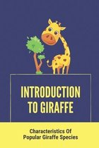 Introduction To Giraffe: Characteristics Of Popular Giraffe Species