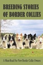 Breeding Stories Of Border Collies: A Must-Read For New Border Collie Owners