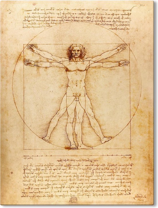 Canvas Schilderij Vitruviusman - Leonardo da Vinci - 70x100 cm