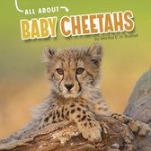 All about Baby Cheetahs