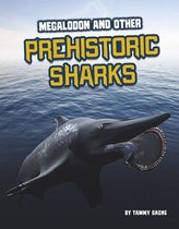 Sharks Close-Up- Megalodon and Other Prehistoric Sharks