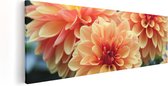 Artaza Canvas Schilderij Oranje Dahlia Bloemen  - 90x30 - Foto Op Canvas - Canvas Print