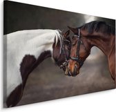 Schilderij - Prachtige liefde tussen 2 paarden, premium print