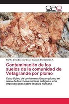 Contaminación de los suelos de la comunidad de Vetagrande por plomo