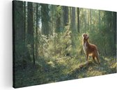 Artaza Canvas Schilderij Retriever Hond In Het Bos Met Zon - 100x50 - Groot - Foto Op Canvas - Canvas Print
