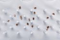 Product afbeelding  11