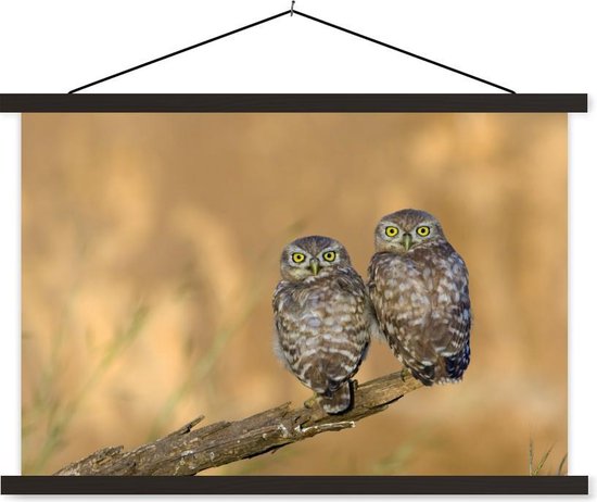 Affiche textielposter couple hiboux 150x100 cm