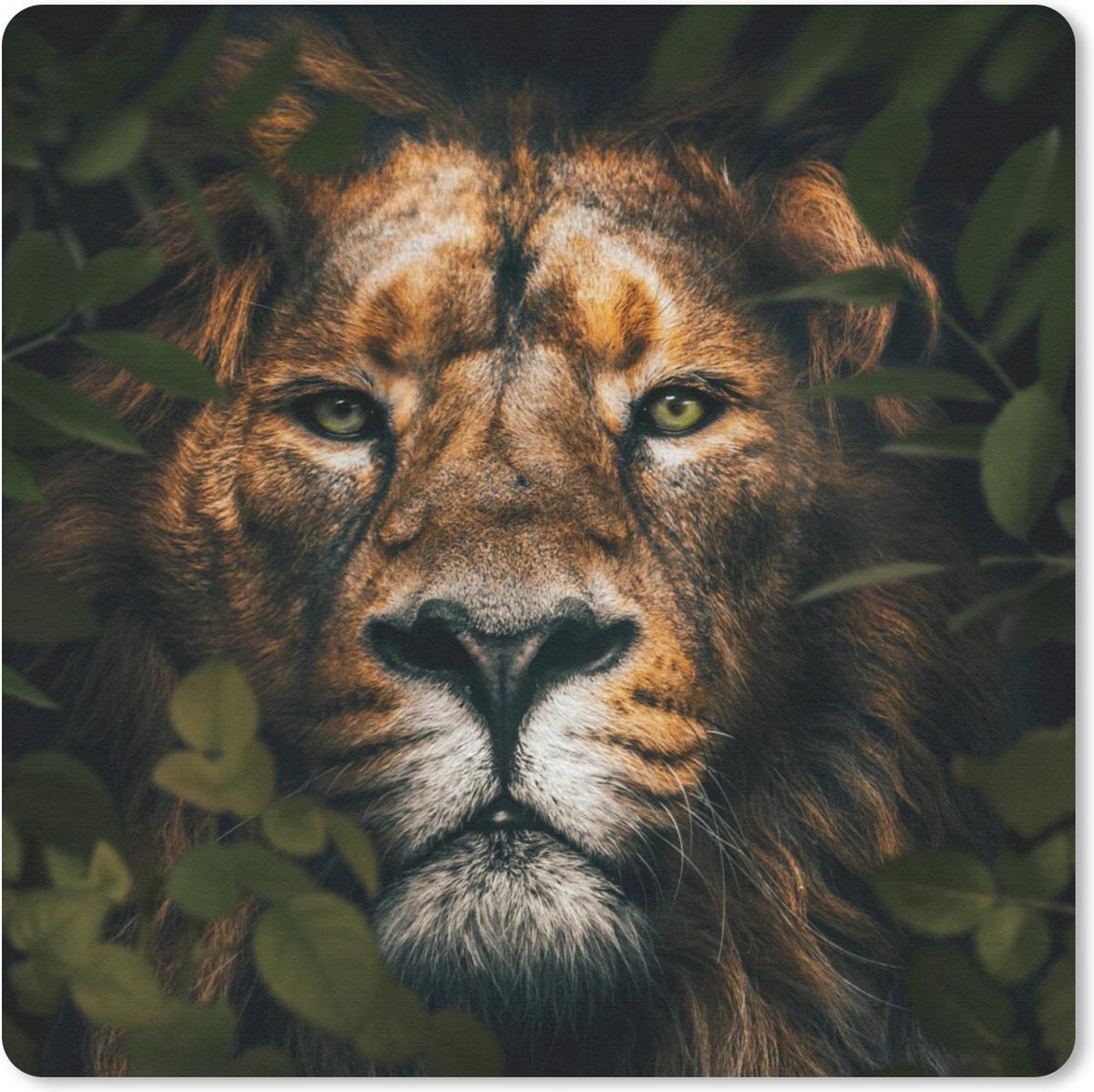 Muismat 30x30 cm - Mousepad Planten - Leeuw - Jungle - Muismatten