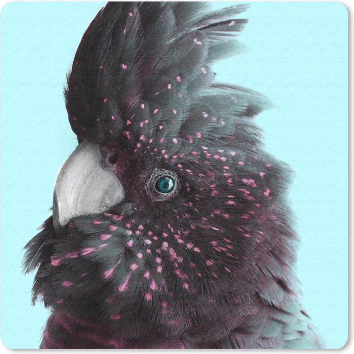 Muismat 30x30 cm - Mousepad Kaketoe - Blauw - Zwart - Muismatten