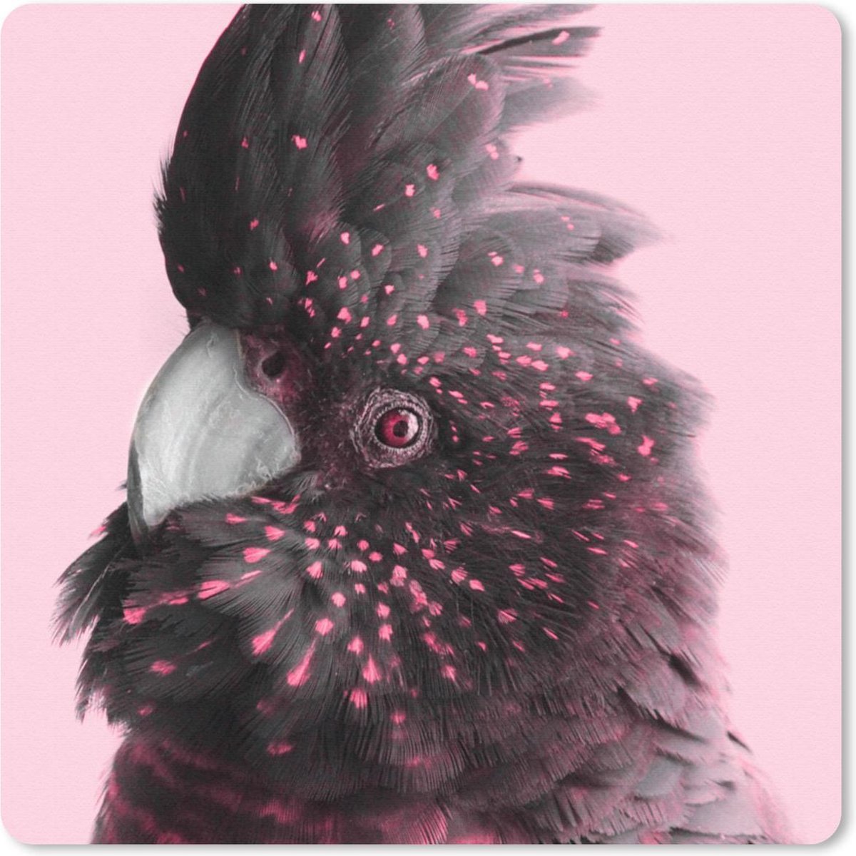 Muismat 20x20 cm - Mousepad Kaketoe - Roze - Zwart - Muismatten