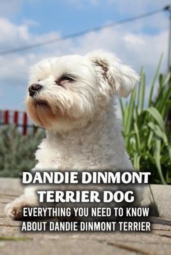 Dandie Dinmont Terrier Dog: Everything You Need to Know About Dandie Dinmont Terrier