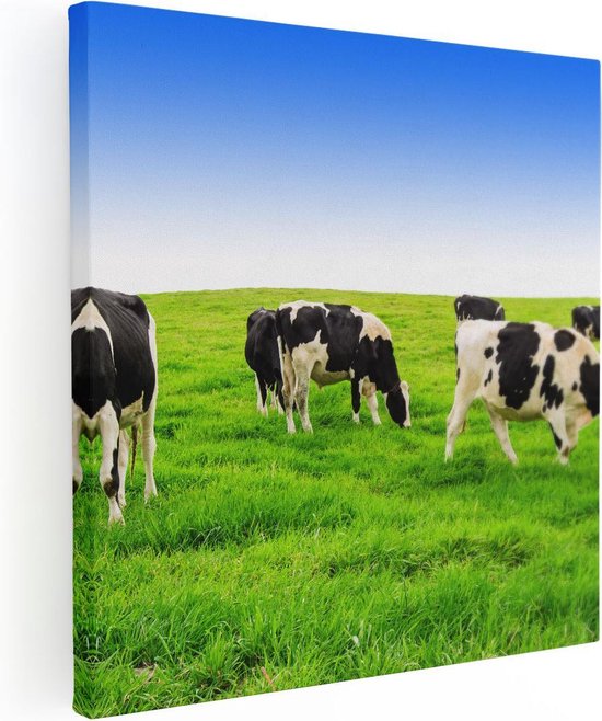 Artaza Peinture Sur Toile Troupeau De Vaches Dans Le Pâturage - Ciel Bleu Ciel - 70x70 - Photo Sur Toile - Impression Sur Toile