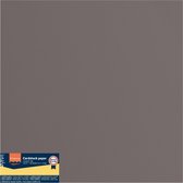 Florence Karton - Concrete - 305x305mm - Ruwe textuur - 216g