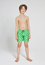 Shiwi Swimshort shiwi palm - groen - 116