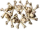 Armband - Skeletten/botten