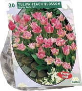 Plantenwinkel Tulipa Dubbel Vroeg Peach Blossom tulpen bloembollen per 20 stuks