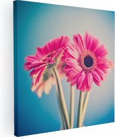 Artaza Canvas Schilderij Twee Roze Anjers - Bloemen - 40x40 - Klein - Foto Op Canvas - Canvas Print