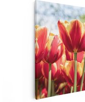 Artaza Canvas Schilderij Oranje Rode Tulpen - 40x60 - Poster Foto op Canvas - Canvas Print