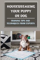 Housebreaking Your Puppy Or Dog: Training Tips And Techniques From Experts