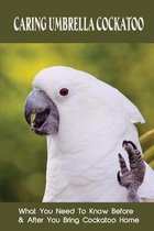 Caring Umbrella Cockatoo: What You Need To Know Before & After You Bring Cockatoo Home