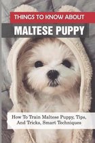 Things To Know About Maltese Puppy: How To Train Maltese Puppy, Tips, And Tricks, Smart Techniques