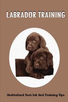 Labrador Training: Understand Your Lab And Training Tips