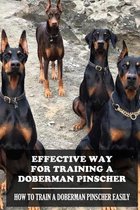 Effective Way For Training A Doberman Pinscher: How To Train A Doberman Pinscher Easily