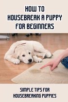 How To Housebreak A Puppy For Beginners: Simple Tips For Housebreaking Puppies