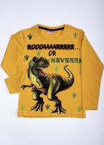 Dino jongens blouse geel met lange mouwen 3-4 jaar