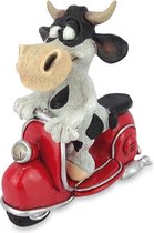 grappige koe op een scooter beeldje - handgeschilderd - 12,5 cm hoog
