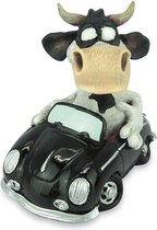 grappige koe in een auto beeldje - geslaagd voor het rijbewijs - handgeschilderd - 10 cm hoog