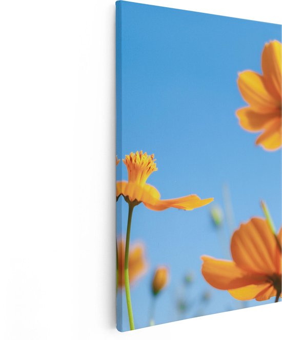 Artaza Canvas Schilderij Oranje Cosmea Bloemen - 40x60 - Poster Foto op Canvas - Canvas Print